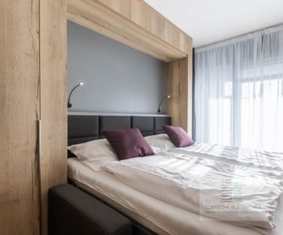 d-440-2018-pronajem-apartmany-praha-albertov-rental-apartments-04.jpg