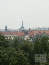 image-2.png