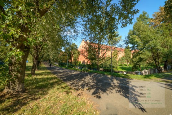 dsc-1281.jpg
