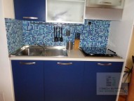 dsc00793.jpg