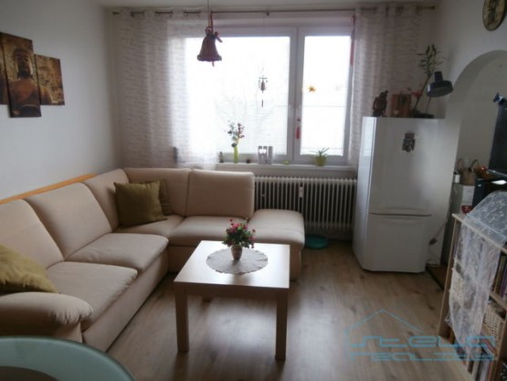 pa301147.jpg