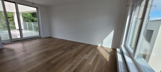 fotografie