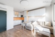 Detail: Pronájem bytu 2+kk, 32 m2