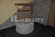 DSC_0526 (2)