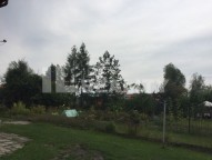 67767394_2226034227708332_6285124359212236800_n