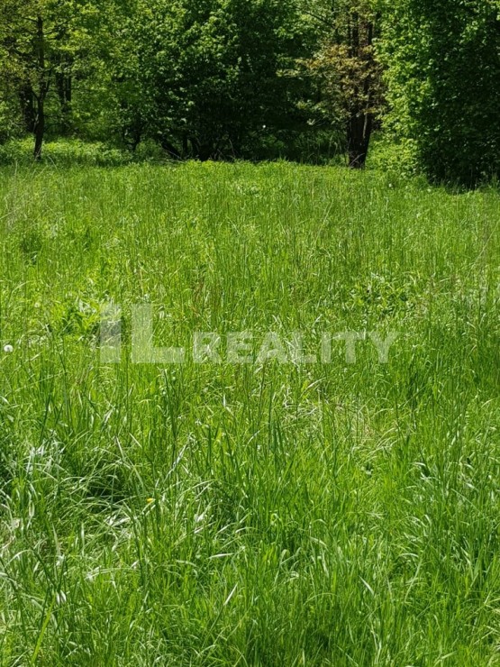20190518_121740_resized