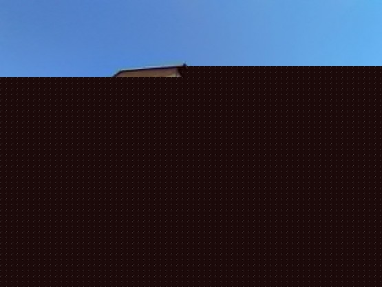 1000025031