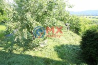 img-8653.jpg