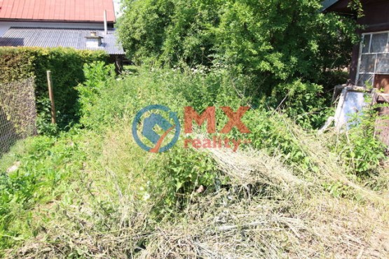 img-8693.jpg