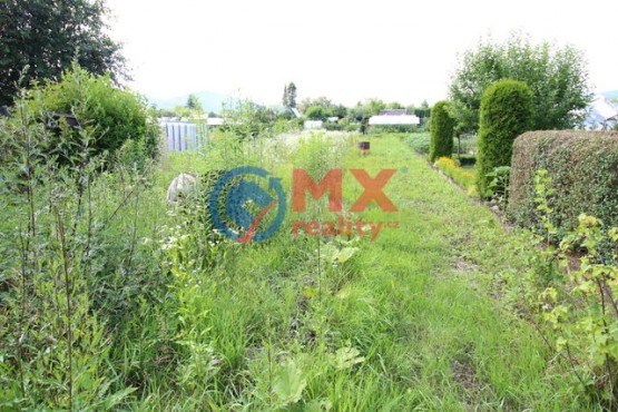img-8805.jpg
