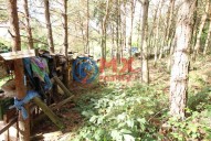 img-9516.jpg