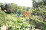img-9509.jpg