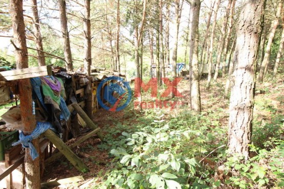 img-9516.jpg
