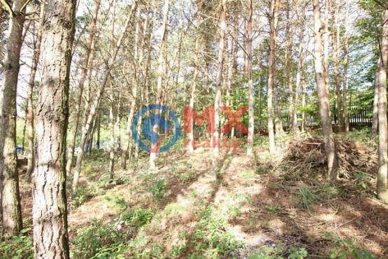 img-9515.jpg