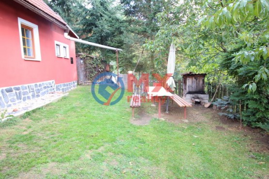 img-9498.jpg