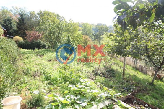 img-9509.jpg