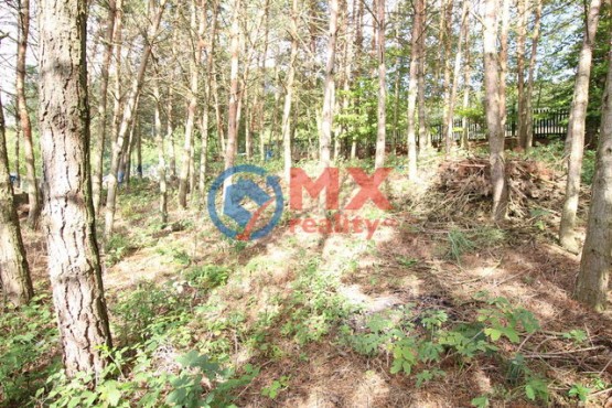 img-9518.jpg