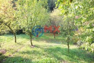 img-9680.jpg