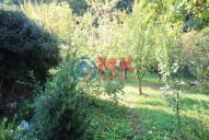 img-9673.jpg