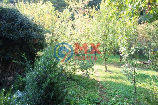 img-9673.jpg