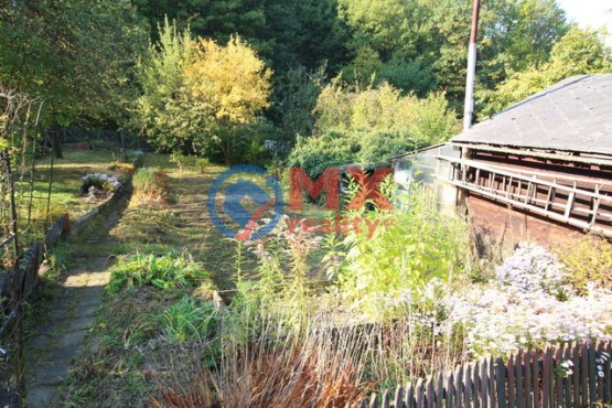 img-9667.jpg