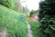 img-4896.jpg