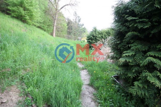 img-4896.jpg