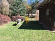 img-2373.jpg