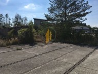 img-6195.jpg