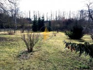 img-1894.jpg