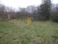 dscn0346.jpg