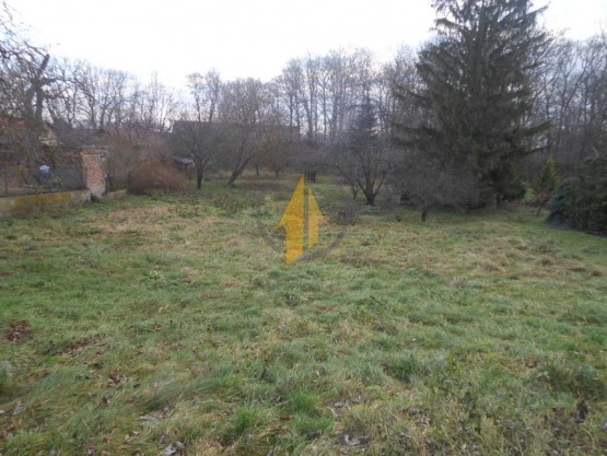 dscn0346.jpg