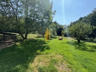 img-6954-2.jpeg