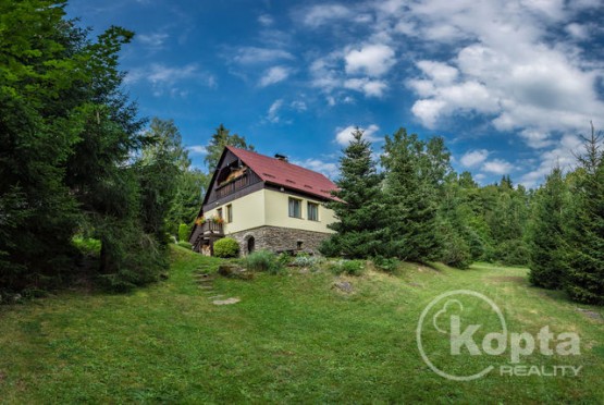 koptareality-onensvet-photobydobnerova2.jpg
