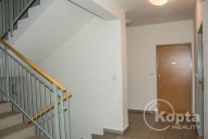 koptareality-kvetnaulice-plzen-photobydobnerova11.jpg