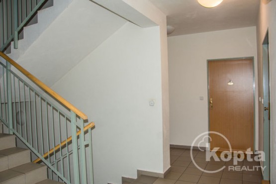 koptareality-kvetnaulice-plzen-photobydobnerova11.jpg