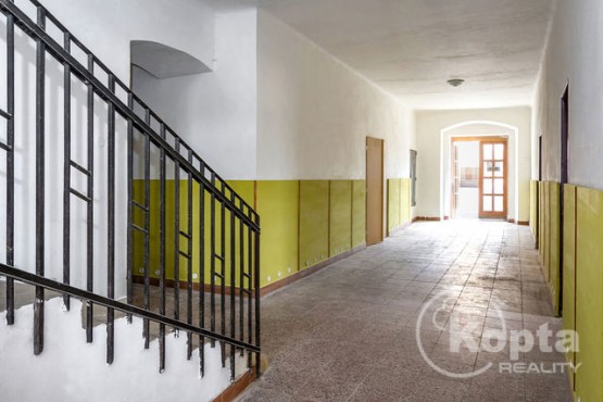 Přízemí - vstup z Mlýnské ulice