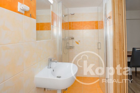 dsc-5755-koptareality-plzen-bohuslava-martinu-apartman-apartman-1a-8.jpg