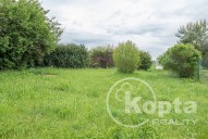 Štěnovický Borek - pozemek