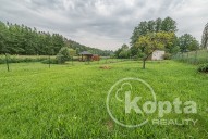 Štěnovický Borek - pozemek