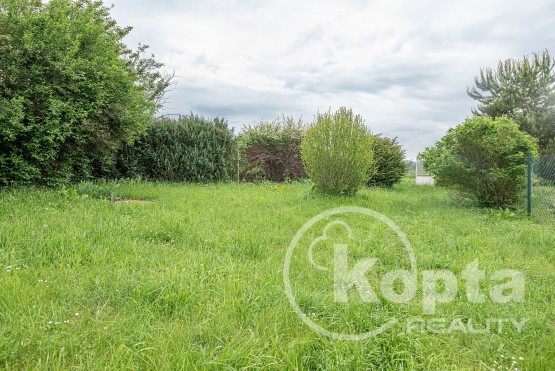 Štěnovický Borek - pozemek