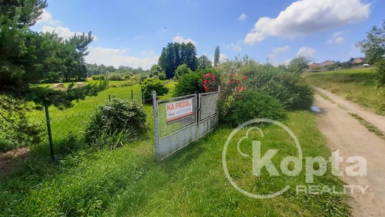 Štěnovický Borek - pozemek