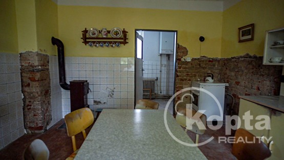 koptareality-zinkovy-foto-13.jpg