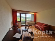 appartment for sale Haidmühle