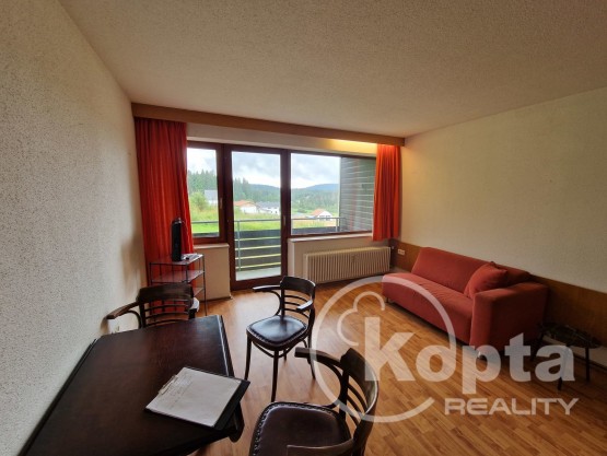 appartment for sale Haidmühle