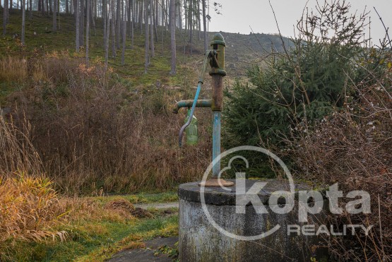 dsc-7470-koptareality-sulislav-doposki.jpg