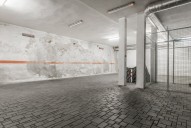 IMG_0662