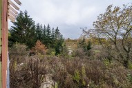 DSC02300