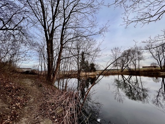 Šestajovice Komenského 35 - 8 z 8