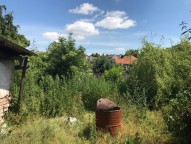 IMG_0743
